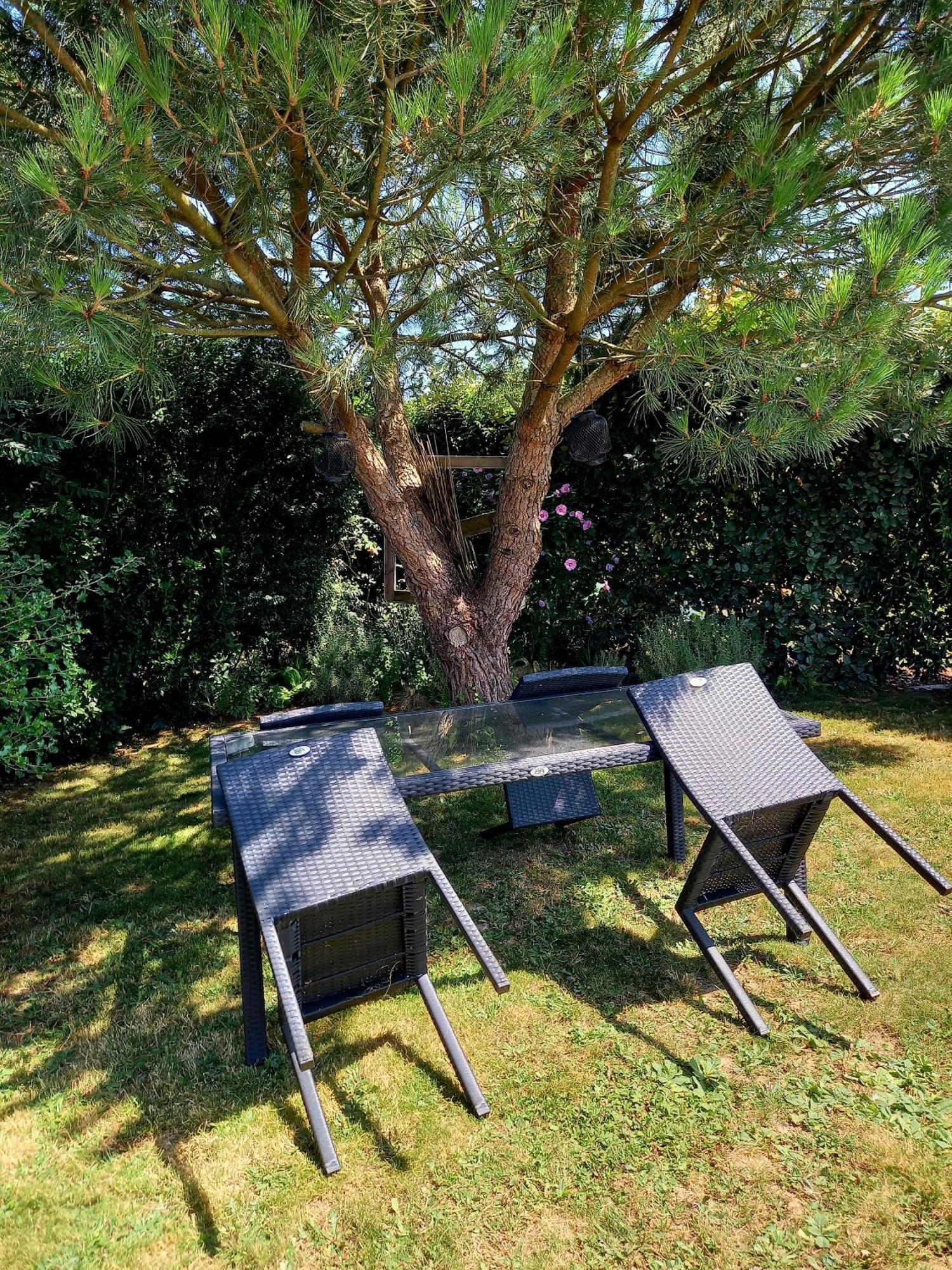 L'appart Des Mesanges *